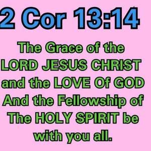 Meet your Posher, Emelia